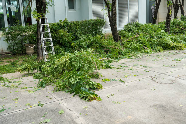 Best Stump Grinding Near Me  in Exton, PA